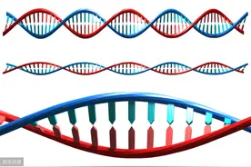 考点解析 | 高中生物考试遗传学中概率的计算问题怎么算？图片