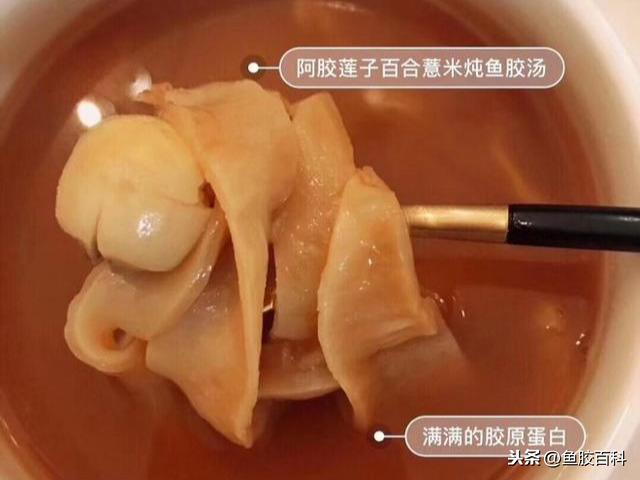 海马花胶汤做法大全 海马花胶汤做法大全视频