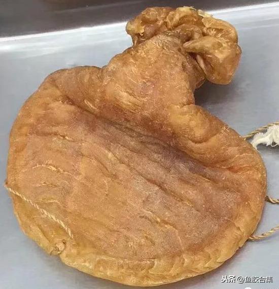 墨西哥花胶品种 2026年墨西哥花胶品种大全