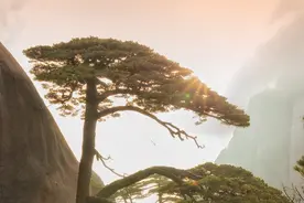 外地人来安徽后知道的19条冷知识！后悔没学好历史图片