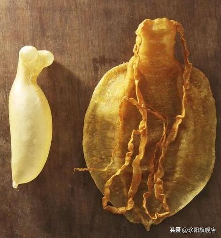 泡好的花胶能放多久 怎么保存 2026年已经泡好的花胶怎么保存