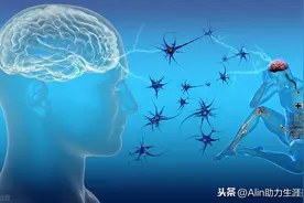 羽毛球运动不为人知的魅力图片