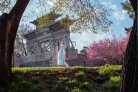 腹有诗书气自华，飞花令里读诗词——100句（斗）篇图片