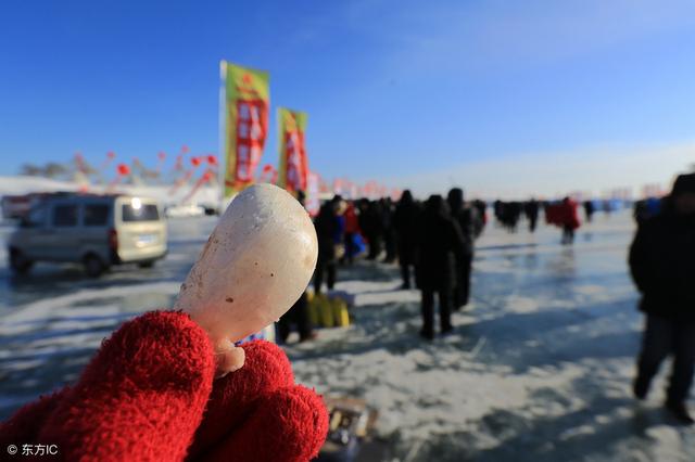 便宜花胶没营养吗 2026年便宜的花胶是不是没效果