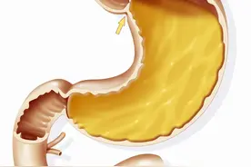 一天中最佳的养胃黄金期是什么时间？坚持半个月，胃一天比一天好图片