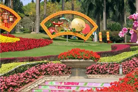 “花城明珠”云台花园开放了，周末阳光明媚，一起来感受浓浓春意图片