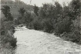 上世纪30年代吉林白山伐木老照片，砍伐的木材随鸭绿江顺流而下图片