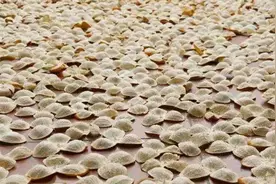 陈皮保存术：这样储存，你的陈皮也可以传世图片