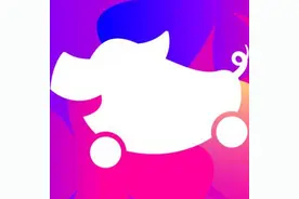 花小猪：打开网约车新增量的秘密武器图片