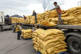 尿素每吨涨200，二铵每吨涨500，肥料市场咋了？还会大涨吗图片