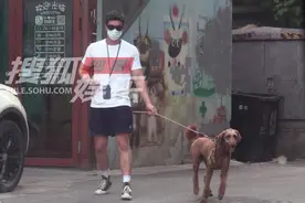 34岁杜江带狗去医院，时刻牵绳被赞素质高，未见老婆霍思燕身影图片