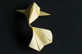 手法小魔术：现场用纸剪一条纸鱼，扔到鱼缸瞬间就变成真鱼了图片