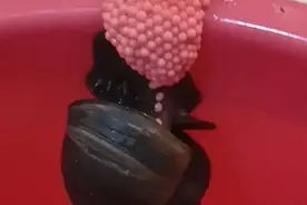 浙江多地已经出现！父亲给儿子捞鱼虾，后续令人头皮发麻图片