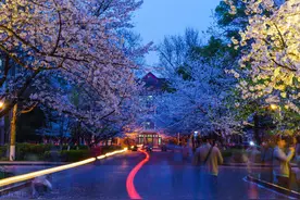 南京农业大学是南京最“好考”的211！报录比最低2：1图片