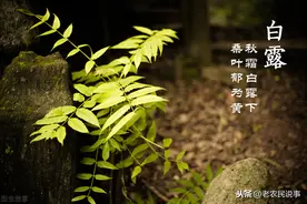 今日白露，天气还会热吗？还能再热多久？看完心里有数了图片