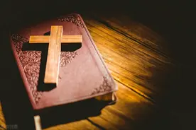 从当年的零团费，到现在的老年低价团，旅行社的账外人从来不懂图片