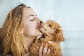 分离焦虑严重的狗狗，主人离家前不要做这3件事情图片