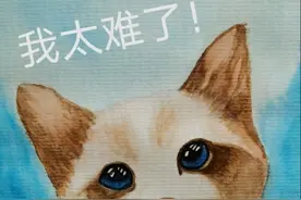 人生的三分之一都在睡觉，但你真的懂它吗？图片