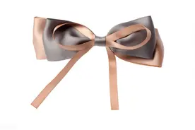 绳结艺术-蝴蝶结图片