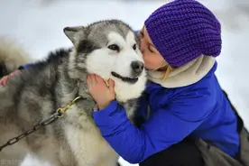 7条“害狗不浅”的养狗习惯，你做过几种？图片