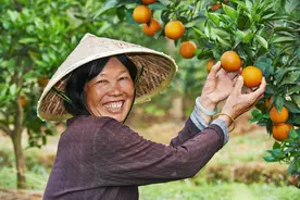2020年，农民养老金迎来好消息，这6地基础养老金已上调图片