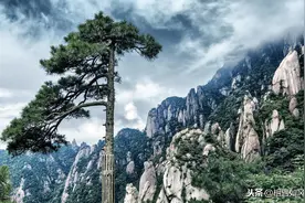 安徽和河南，哪一个发展潜力更大图片