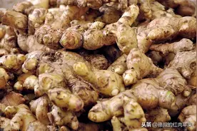 像姜不是姜，种1次采收多年，被誉为亚洲人参，你吃过吗？图片