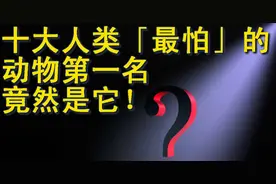 十大人类「最怕」的动物｜前两名超过48%的女人都害怕图片