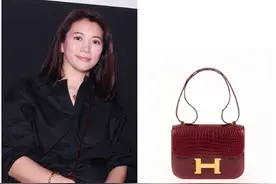 盘点袁咏仪背过的爱马仕包包，太多了，果然是个疯狂爱包的女人！图片