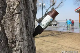 男性避孕针即将问世，或是女性福音？对此你怎么看？图片