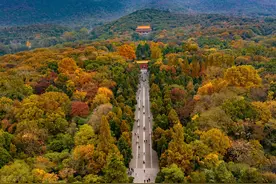 金秋南京游，明孝陵之全记录图片