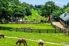 台湾农民年收入是大陆农民的25倍，你敢信？怎么做到的？图片