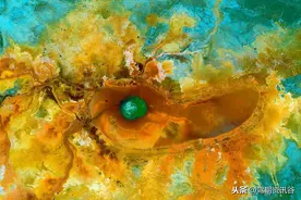 国内最热最火的三只“眼”图片