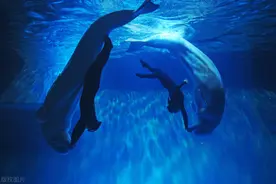 大连圣亚总经理自掏500万资助公司图片