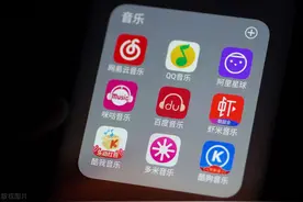 一款QQ音乐、网易云音乐之外的宝藏级音乐APP图片