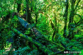 心烦的时候根本不用去读佛经，去读一读王维这首诗，内心自然平静图片