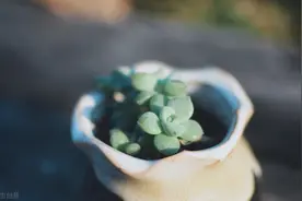 遇到这样的领导怎么办？图片