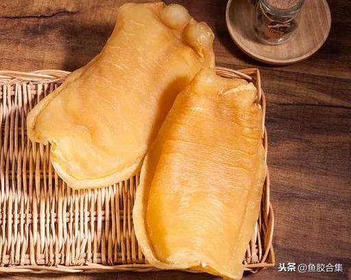 鳘鱼胶有哪些品种 2026年鳘鱼胶分几种