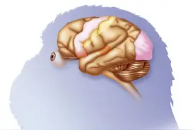 这些东西均容易伤肾，肾病患者需避开！您还在吃吗？图片