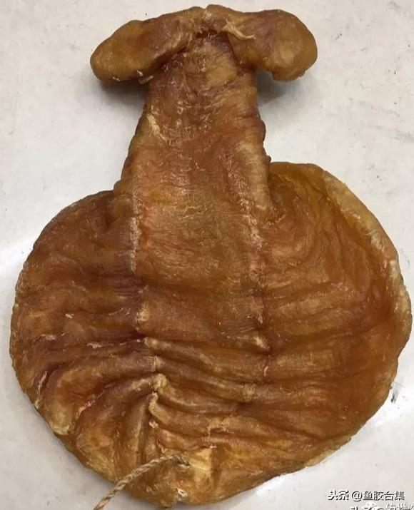 太平洋 产妇 花胶 2025年产后 花胶