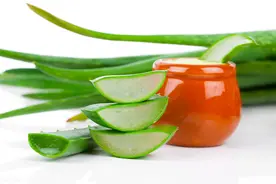 芦荟怎么洗脸？用对了方法，效果还是不错滴图片