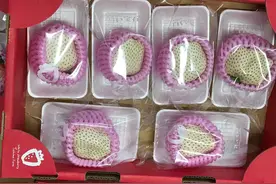 国内市场上的草莓品种，哪类草莓是你的菜？图片