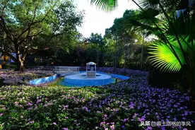 四川这么大，为何避寒过冬只有攀枝花最舒服？图片