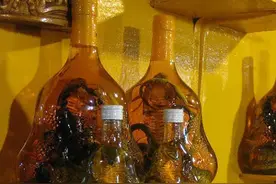 都说广东人什么都敢吃，隔壁广西人笑了，为啥爱重口味的药酒？图片