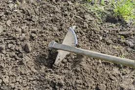 28岁儿媳用锄头砍死76岁婆婆，事发前与丈夫正常寒暄通话，精神病人管控难题再引关注图片