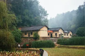 村民不喜欢黄鳝，却会在房屋边的池塘放黄鳝，这是为什么？图片