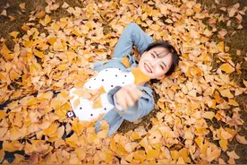 一个美丽的秋梦，一场美丽的遇见图片