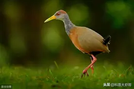 歇后语大全（经典收藏版）图片