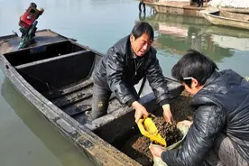 上市就面临滞销，产地积压卖不动，养殖户：不值钱了？图片