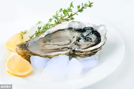 海的味道——生蚝（如何鉴别真假生蚝）图片